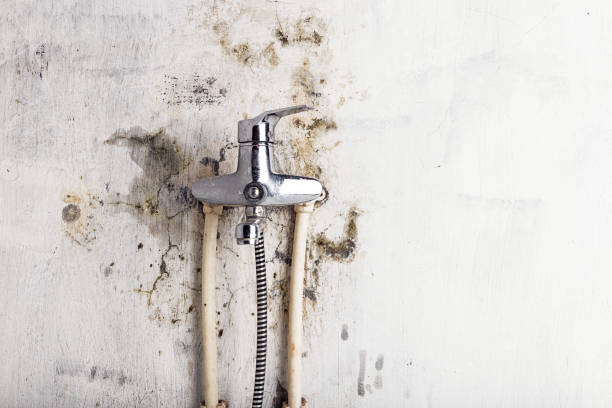 Best Mold Remediation for Specific Building Types in Hortonville, WI