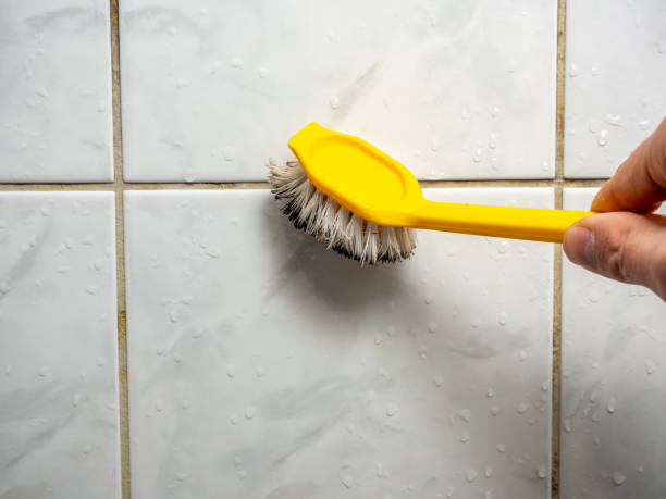 Best Industrial Mold Remediation in Hortonville, WI