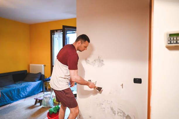 Best Black Mold Remediation in Hortonville, WI