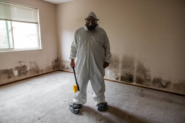 Best Emergency Mold Remediation in Hortonville, WI